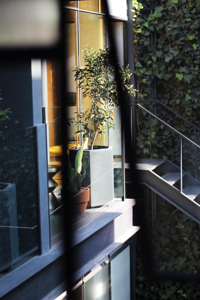 建築改造,酒店空間,小旅店設計,國外酒店設計