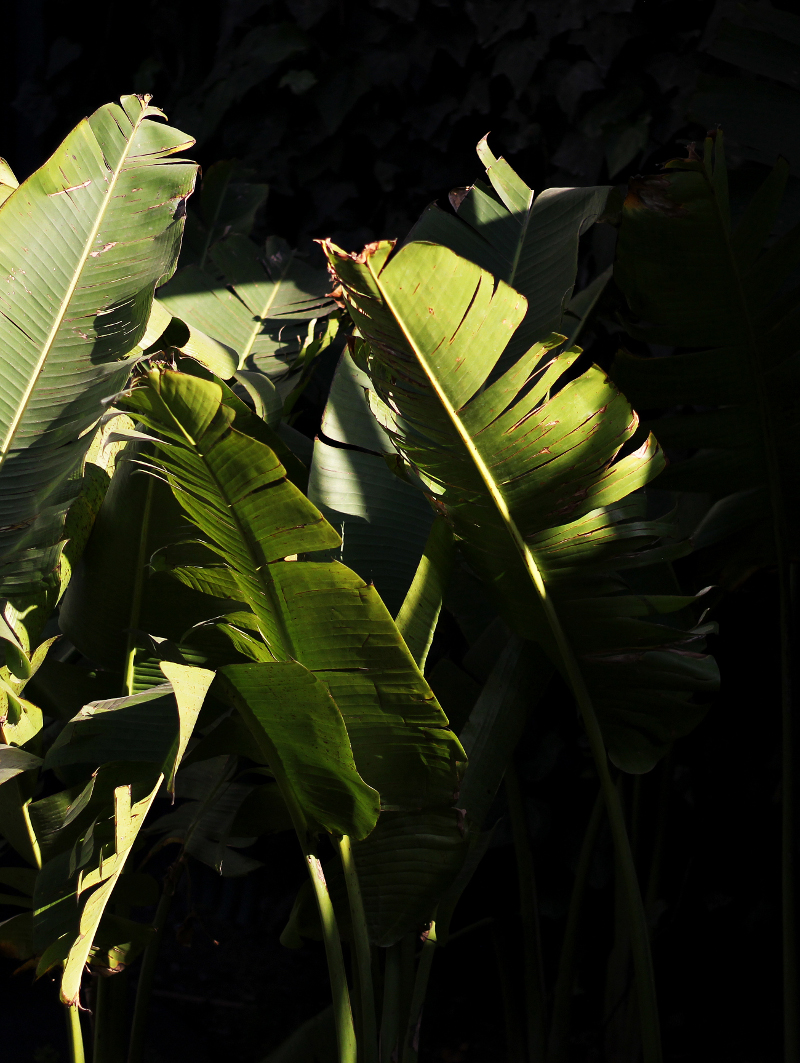 建築改造,酒店空間,小旅店設計,國外酒店設計