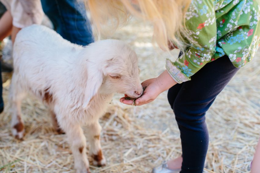商業空間,餐飲空間,綠色餐廳設計,咖啡廳,文藝小店
