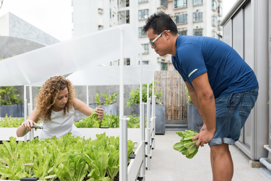 建築師訪談,香港設計工作室,COC設計,Kevin Chu,可持續生活