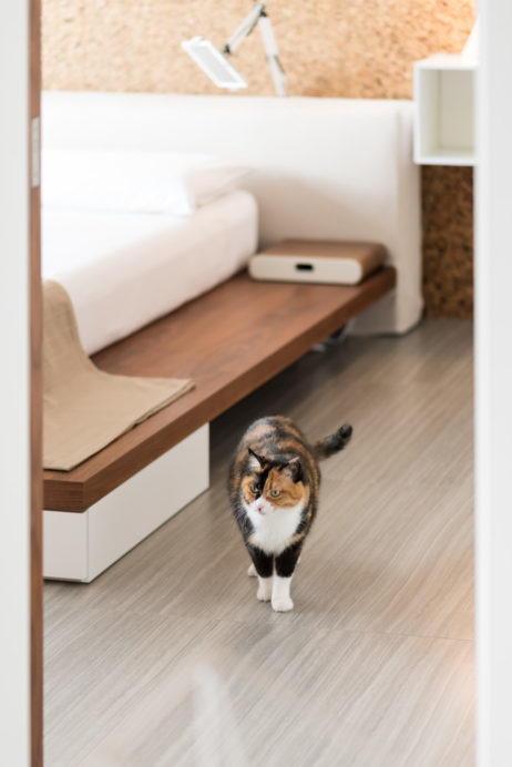 建築師訪談,香港設計工作室,COC設計,Kevin Chu,可持續生活