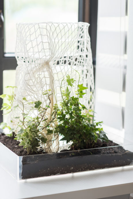 建築師訪談,香港設計工作室,COC設計,Kevin Chu,可持續生活