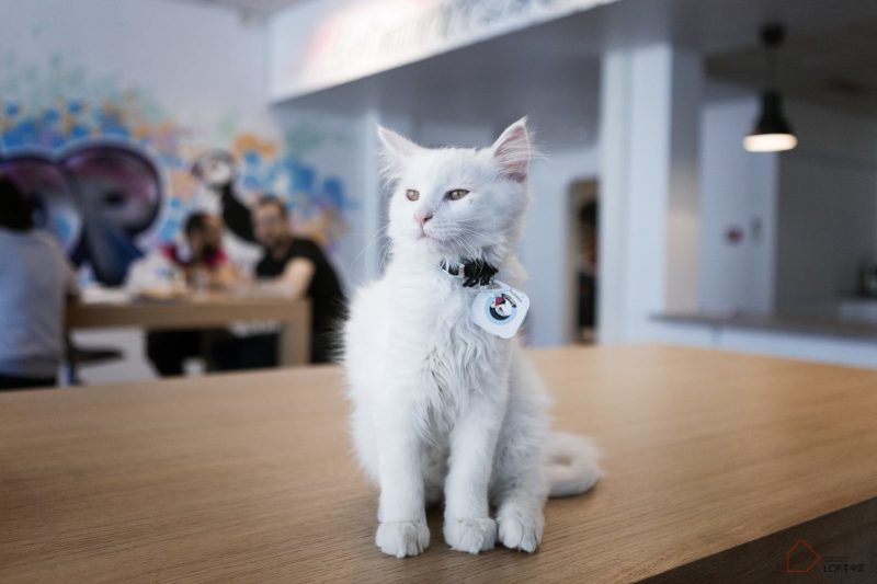 創意辦公室設計