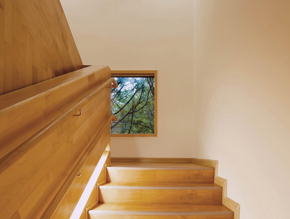 深圳IBOBI國際幼兒園 深圳IBOBI國際幼兒園