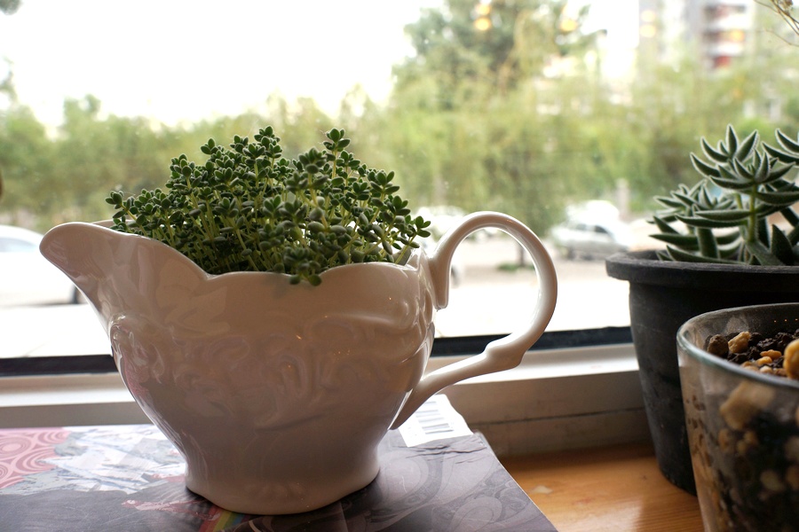 Cafe Clark咖啡廳、北京文藝咖啡廳