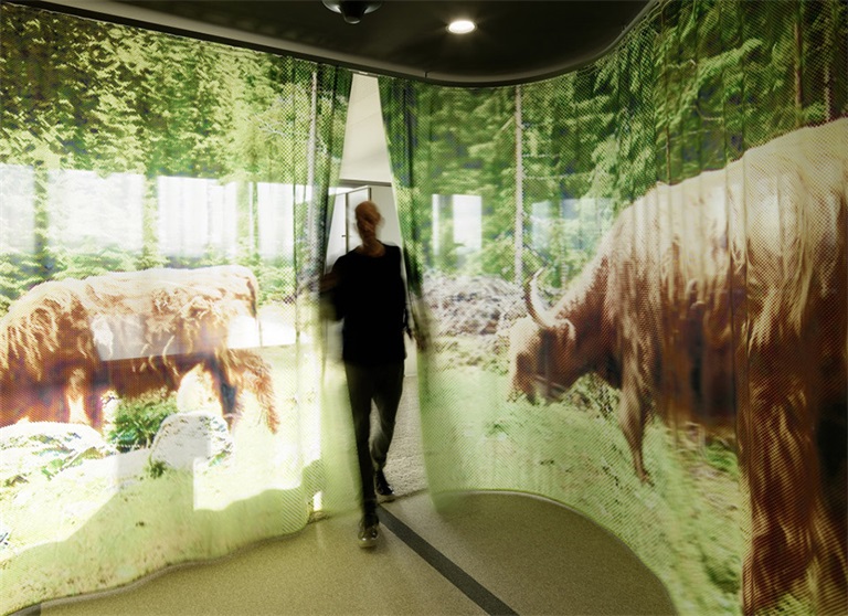 個性辦公室設計