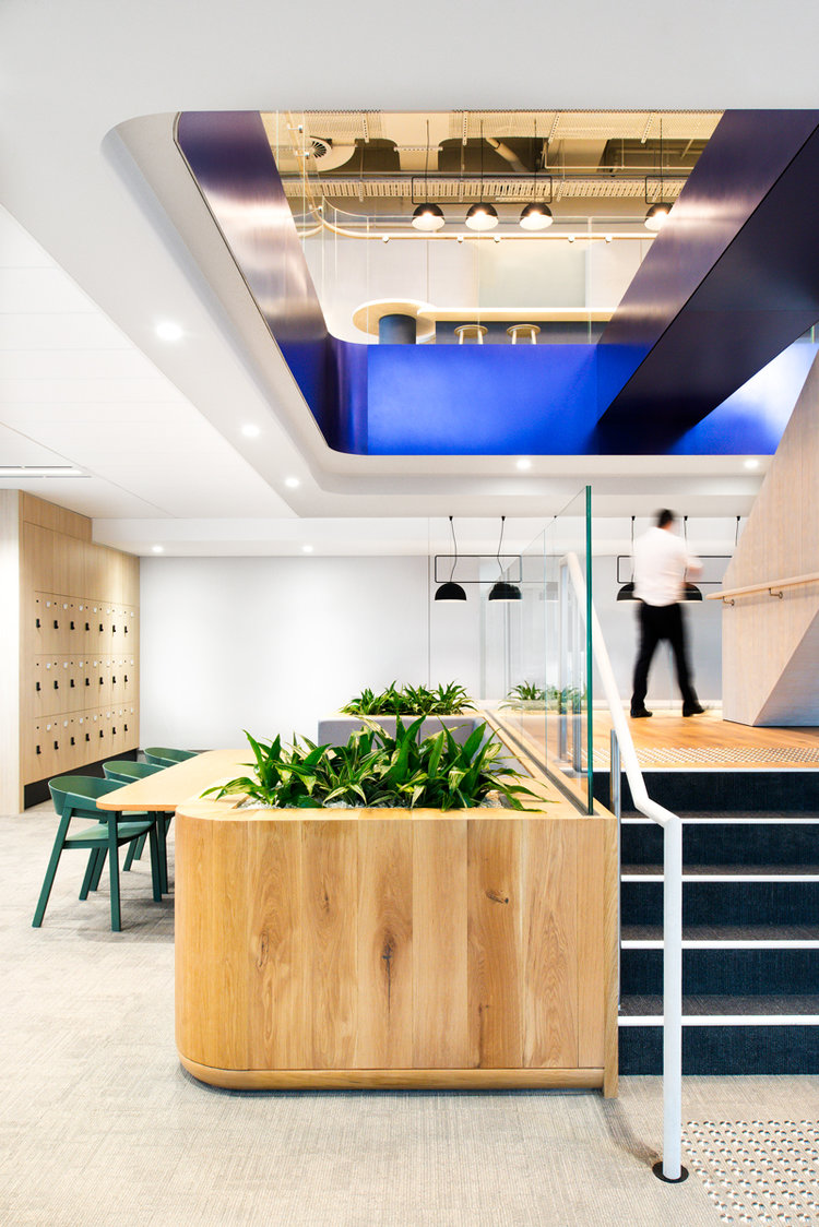 辦公空間，地產公司辦公室設計，澳大利亞辦公室設計，辦公室設計，現代風格辦公室