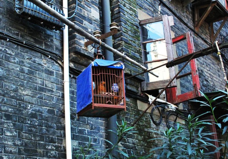 風情田子坊 風情田子坊