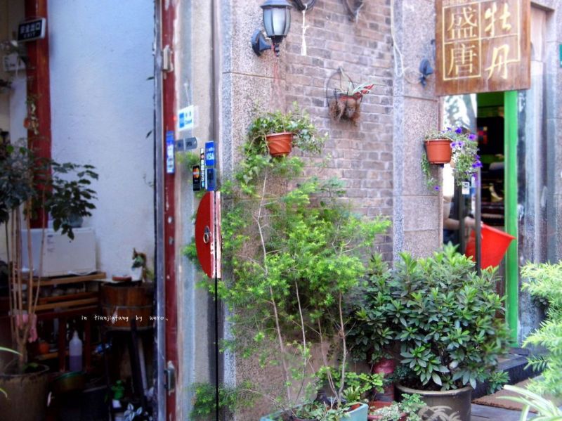 風情田子坊 風情田子坊