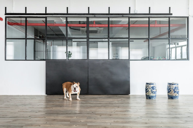 住宅空間,工業風住宅設計,建築改造,舊倉庫改造設計,loft工業風住宅