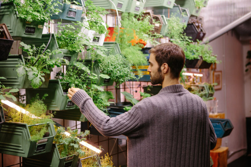 柏林城市園藝工作室