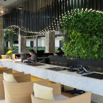 泰國Botanica Khao Yai 度假村