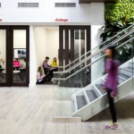 露露檸檬專業體育用品公司辦公室