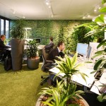 easyCredit紐倫堡總部辦公室設計