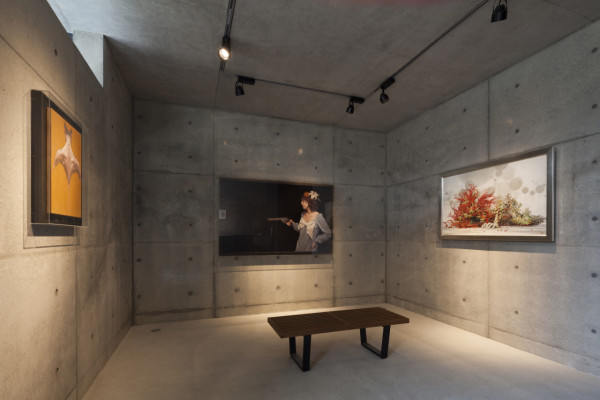 日本現代住宅&畫廊設計,日本現代住宅&畫廊設計