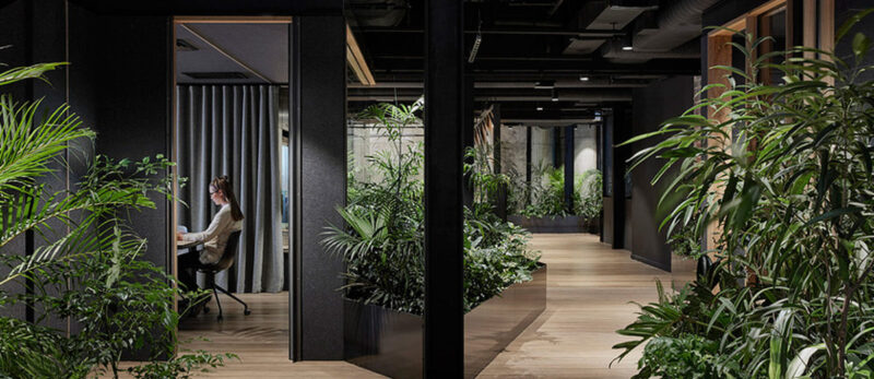 澳大利亞平和自然氛圍的辦公室設計