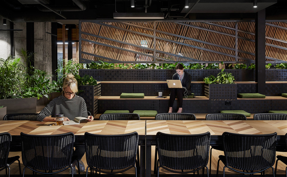 辦公室設計,辦公室,自然元素,創意辦公室