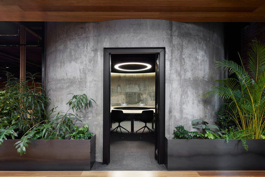 辦公室設計,辦公室,自然元素,創意辦公室