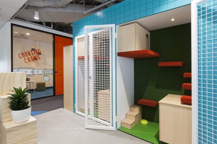 辦公空間,寵物保險管理所設計,國外辦公室設計,現代風格辦公室設計