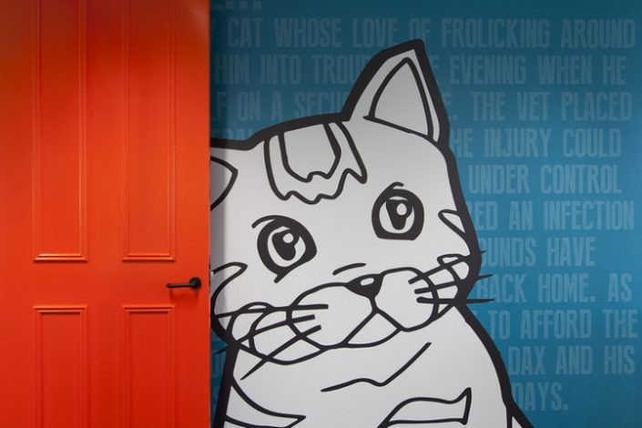 辦公空間,寵物保險管理所設計,國外辦公室設計,現代風格辦公室設計