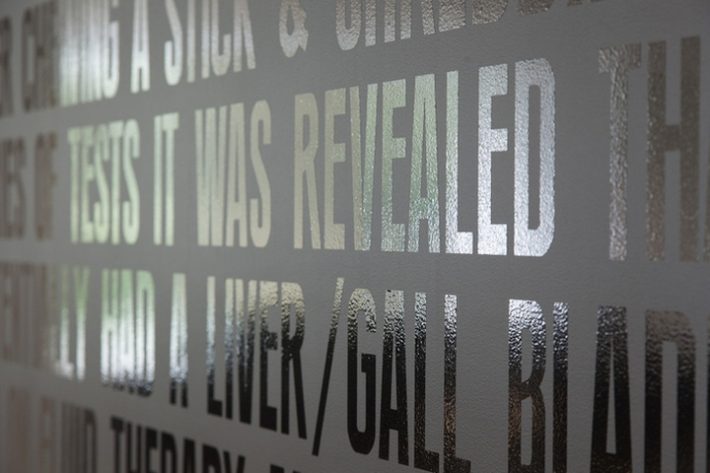 辦公空間,寵物保險管理所設計,國外辦公室設計,現代風格辦公室設計