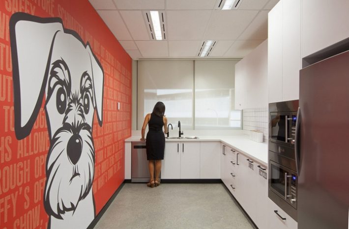 辦公空間,寵物保險管理所設計,國外辦公室設計,現代風格辦公室設計