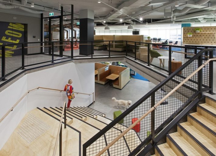 辦公空間,寵物保險管理所設計,國外辦公室設計,現代風格辦公室設計