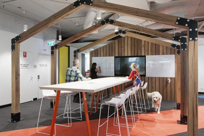 辦公空間,寵物保險管理所設計,國外辦公室設計,現代風格辦公室設計