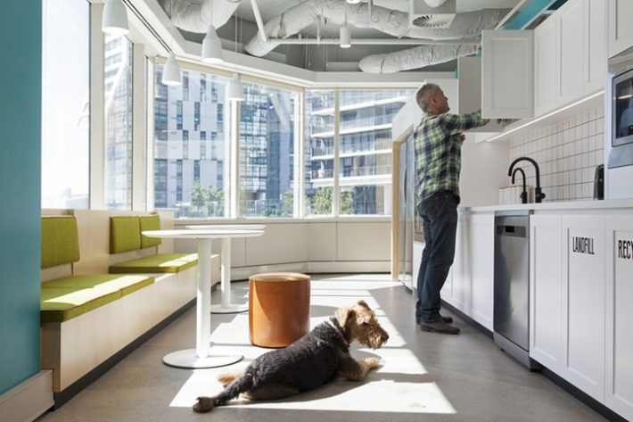 辦公空間,寵物保險管理所設計,國外辦公室設計,現代風格辦公室設計