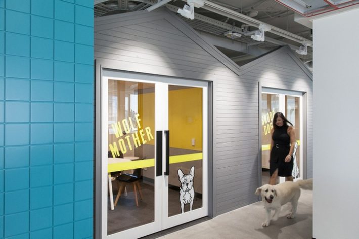 辦公空間,寵物保險管理所設計,國外辦公室設計,現代風格辦公室設計