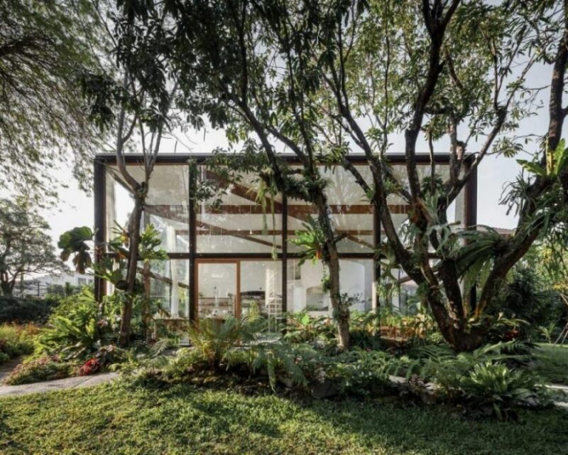 泰國林中有機生態玻璃屋設計