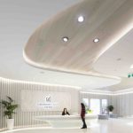 澳洲中國綠地集團辦公室設計