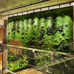 土耳其煙草公司總部辦公室設計