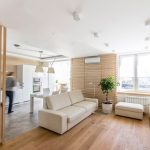 莫斯科閣樓公寓設計