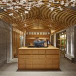 “櫻花樹”下的壽司吧