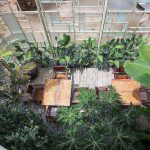 一個工作與居住的地方，一種沉浸於植物的用餐體驗