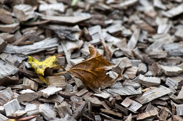 閣樓設計 閣樓住宅 LOFT風格設計