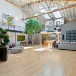 難以置信的舊金山SoMa高挑空閣樓設計