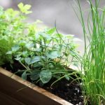 31個綠色居家裝飾靈感