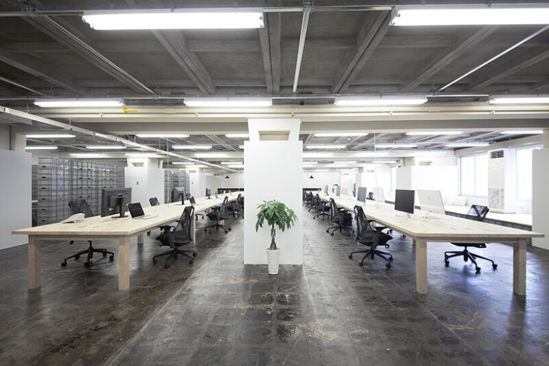 這個辦公室除了植物沒有多餘的裝飾
