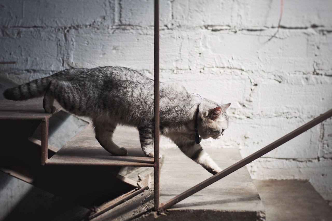 辦公空間,辦公室設計,建築改造,廠房改造,建築師工作室