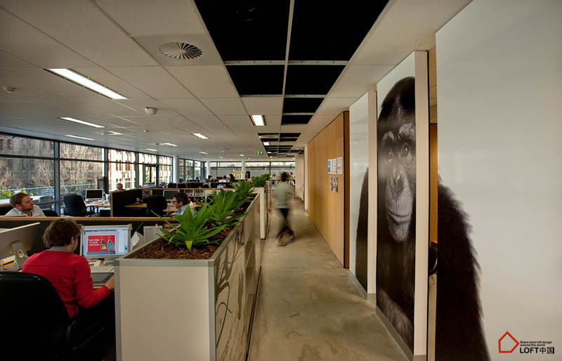 悉尼李奧貝納廣告公司辦公室 悉尼李奧貝納廣告公司辦公室