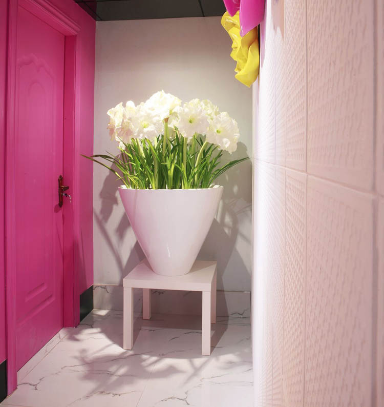 深圳巾幗會所-綻放設計團隊