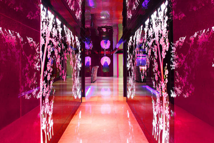 深圳巾幗會所-綻放設計團隊