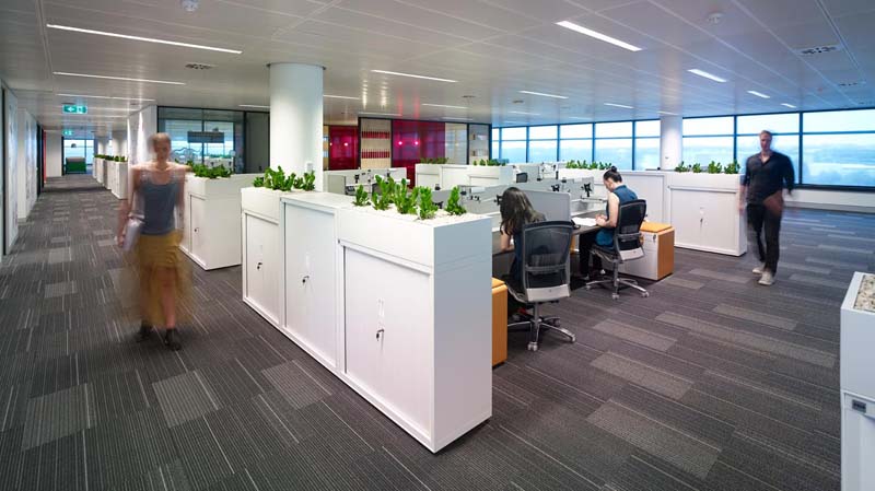 悉尼Lion 公司LOFT風格辦公室 悉尼Lion 公司LOFT風格辦公室