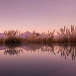 智利阿塔卡馬沙漠裏的超酷景觀民宿酒店