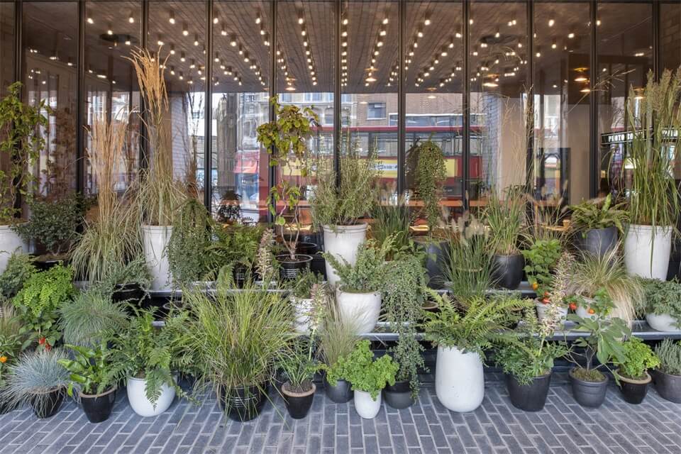 酒店空間,Ace Hotel,美國本土最具原創精神的酒店,全球最值得期待的連鎖酒店,美國酒店設計,老建築改造酒店設計