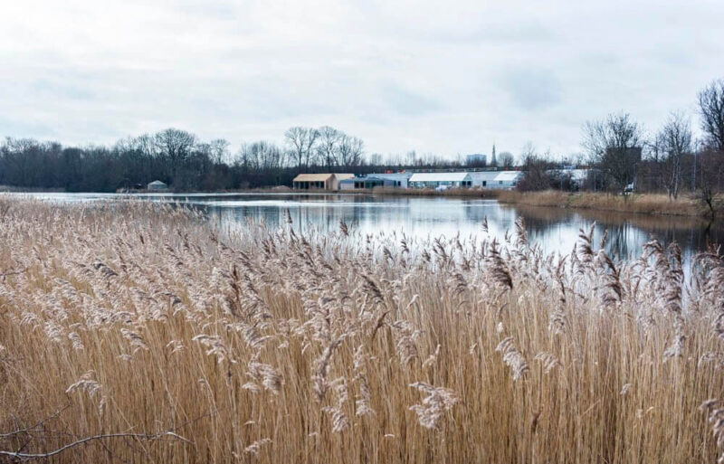 哥本哈根全球最佳餐廳Noma2.0全新回歸