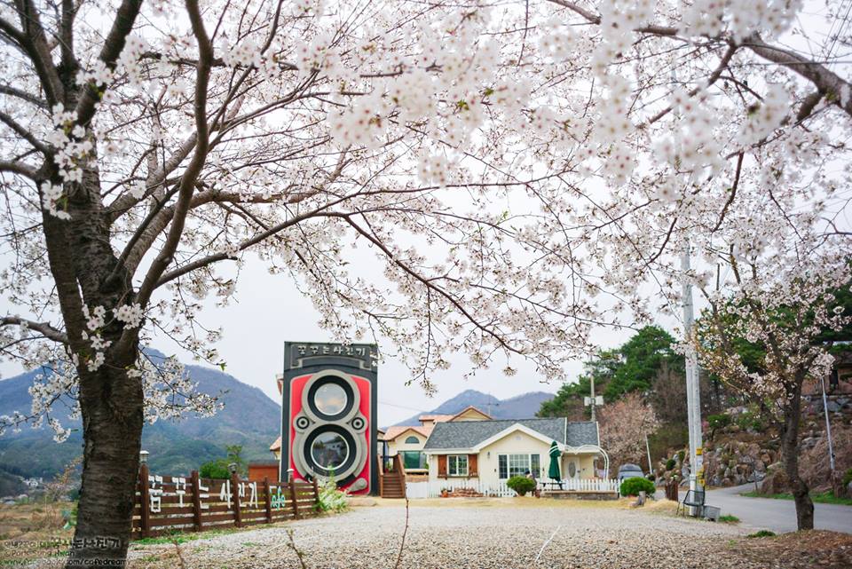 探店,作夢的照相機咖啡館"