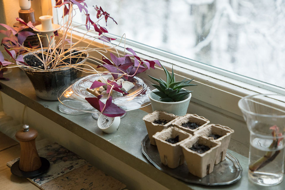 創意人訪談,獨立創意人,loft.work,藝術家生活